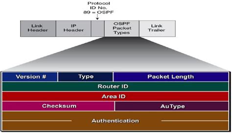 Image result for Ospf Header Format Example Step by Step