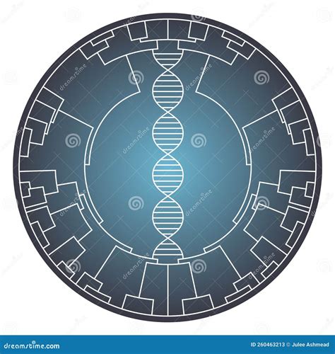 Image result for Phylogenetic Tree Examples