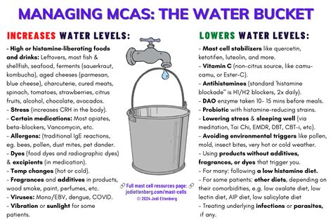 Mast-cell-triggers-and-support - Jodi Ettenberg