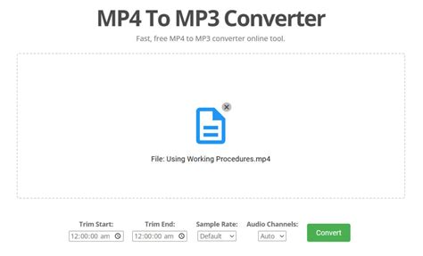 MP4 Video File to Audio Conversion 的图像结果