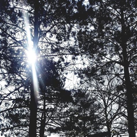 Bring Back the Light - Evening Retreat, Ouroboros Co. at Studio 218 ...