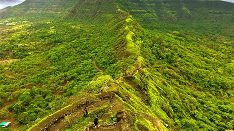 Mumbai: From Food To Trek, 5 Things To Do This Weekend