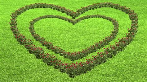 Image result for Love Animation