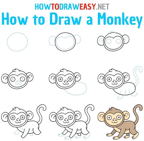 How to draw a monkey – Artofit