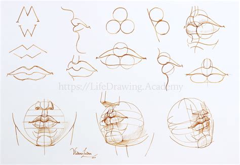 Mouth Tutorial Drawing 的图像结果