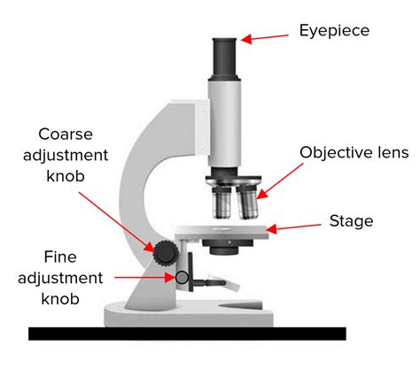 Microscope 的图像结果