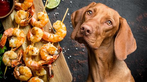Are Shrimp Shells Good For Dogs