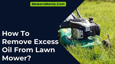 Image result for How to Remove Oil Over Fill Small Engine