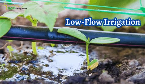Image result for Drip Irrigation Flow Rate Chart