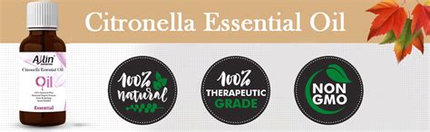 Allin Exporters Citronella Essential Oil Undiluted & Pure Therapeutic ...