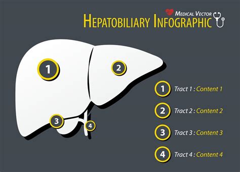 Hepatobiliary Infographic Flat design 2514563 Vector Art at Vecteezy