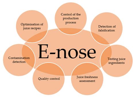 Juice Quality Evaluation with Multisensor Systems—A Review