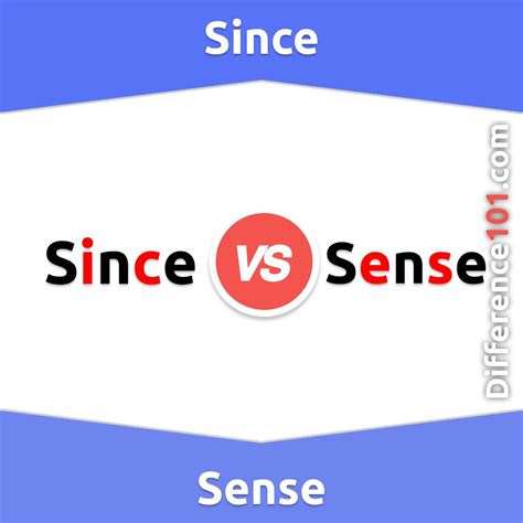 Since vs sense 7 key differences pros cons examples – Artofit