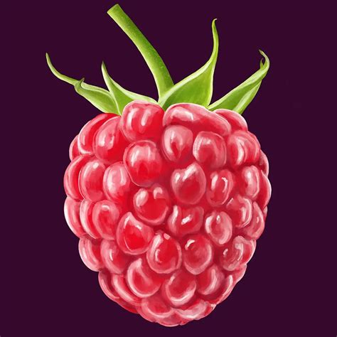 Image result for Raspberry Color Artwork
