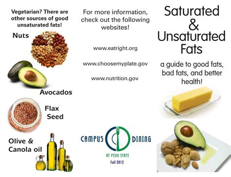 Unsaturated Fat Examples What Are The Importent Types Of Fats