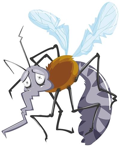 感觉眼前有蚊子在飞是怎么回事？_百度知道