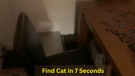 Seek and Find Puzzle: Can you find a hidden cat in the room within 7 ...