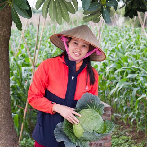 BUI MANH (2026) All You Need to Know BEFORE You Go (with Photos ...