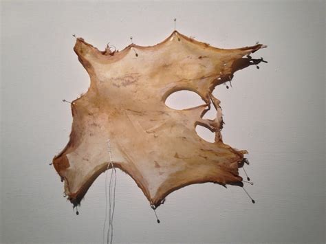 Image result for Skinning Python