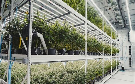 Image result for Grow Light Controller