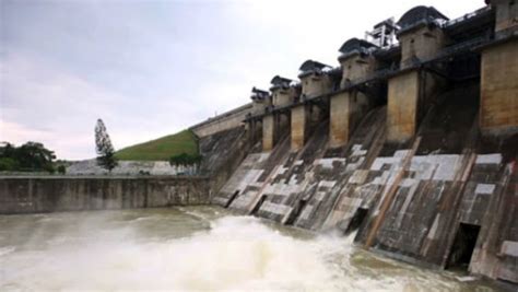 Dam ACDSee 的图像结果