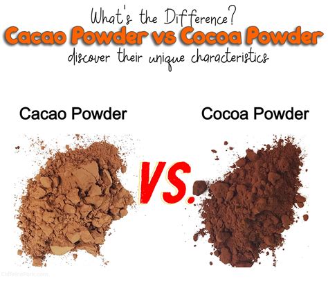 Cacao Powder vs Cocoa Powder: What's the Difference?