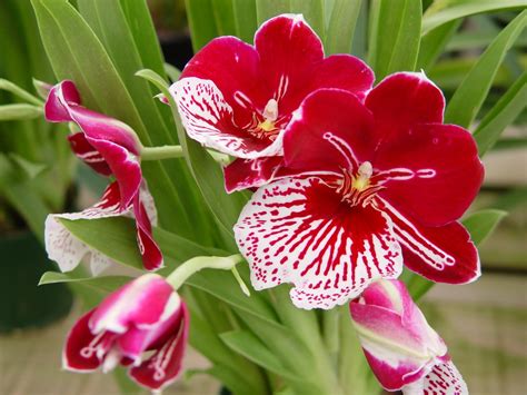 Carmel Plaza Shopping Center - Carmel, CA | Visit Carmel California