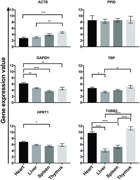 Image result for Anatogram Gene Expression