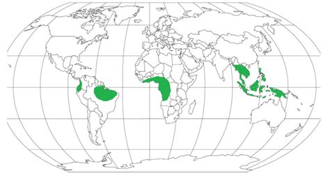 GC Leong Summary: The Hot, Wet Equatorial Climate - Geography for UPSC ...