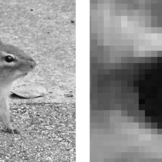 Digital Image Example 的图像结果