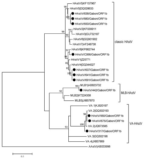Genetic Diversity of Enteric Viruses in Children under Five Years Old ...