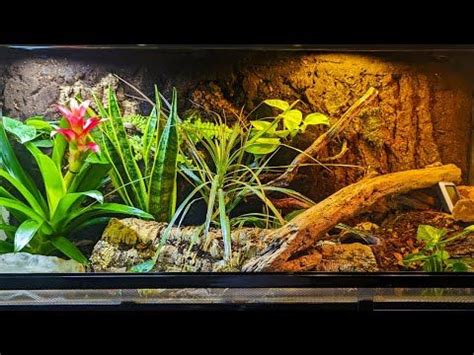 Image result for 15 Foot Python Enclosure