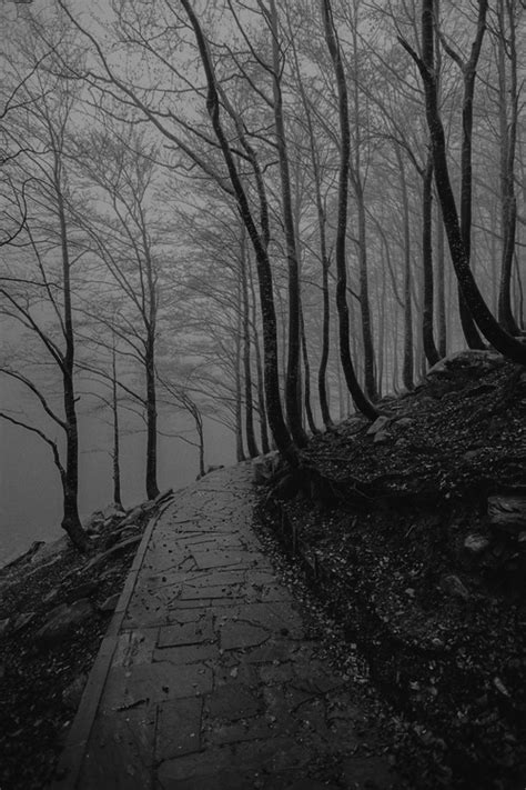 dark, lonely, photography and road - image #92053 on Favim.com