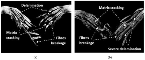 Effect of Uniaxial Fatigue Aging and Fabric Orientation on Low Impact ...