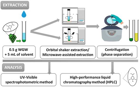 Enhanced Recovery of Natural Antioxidants from Grape Waste Using ...