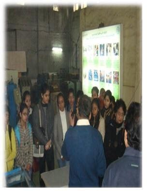 IHE (Institute of Home Economics)