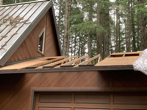 Image result for Tree Rot Damage Repair