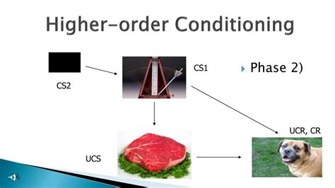 Image result for Learning Perspective