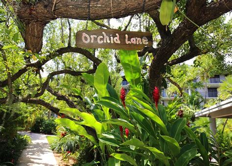 Key West, Florida United States - Mar Y Sol Ocean Front | Key West ...