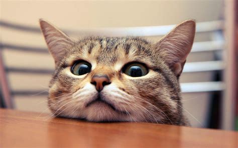 Image result for Example of Synchronization in Java