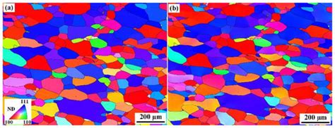 Study on the Grain Rotation of High-Purity Tantalum during Compression ...
