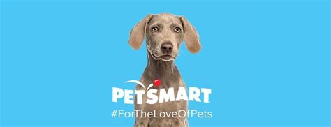 Plainfield PetSmart Adoption Event, PetSmart (Plainfield, IN), 17 ...