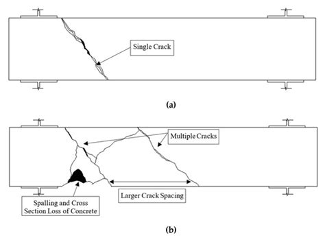 Torsional Behaviour of Steel Fibre Reinforced Alkali Activated Concrete