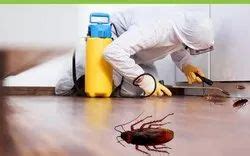 Indian Pest Control Company - Service Provider of Pest Control Service ...