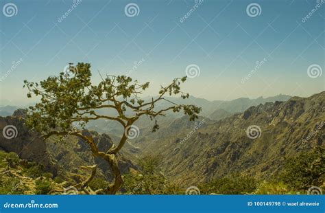 Al Hada Mountain in Taif City Stock Photo - Image of landscape ...