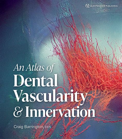 Craig Barrington | An Atlas of Dental Vascularity & Innervation ...