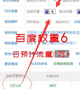 SEO案例_郑州网站优化公司-SEO外包、快照排名推广服务-野狼SEO团队
