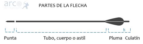 Partes de una flecha: conocimiento y diseño