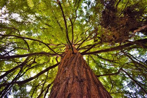7 ways to connect with nature | Kew