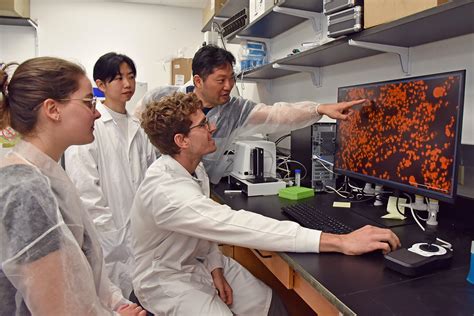 Pre-Professional Programs | Undergraduate Academic Programs